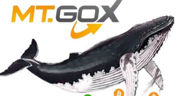 16 thousands bitcoins on MtGox wallets came into motion
